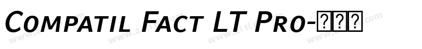 Compatil Fact LT Pro字体转换